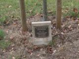 image of grave number 931255